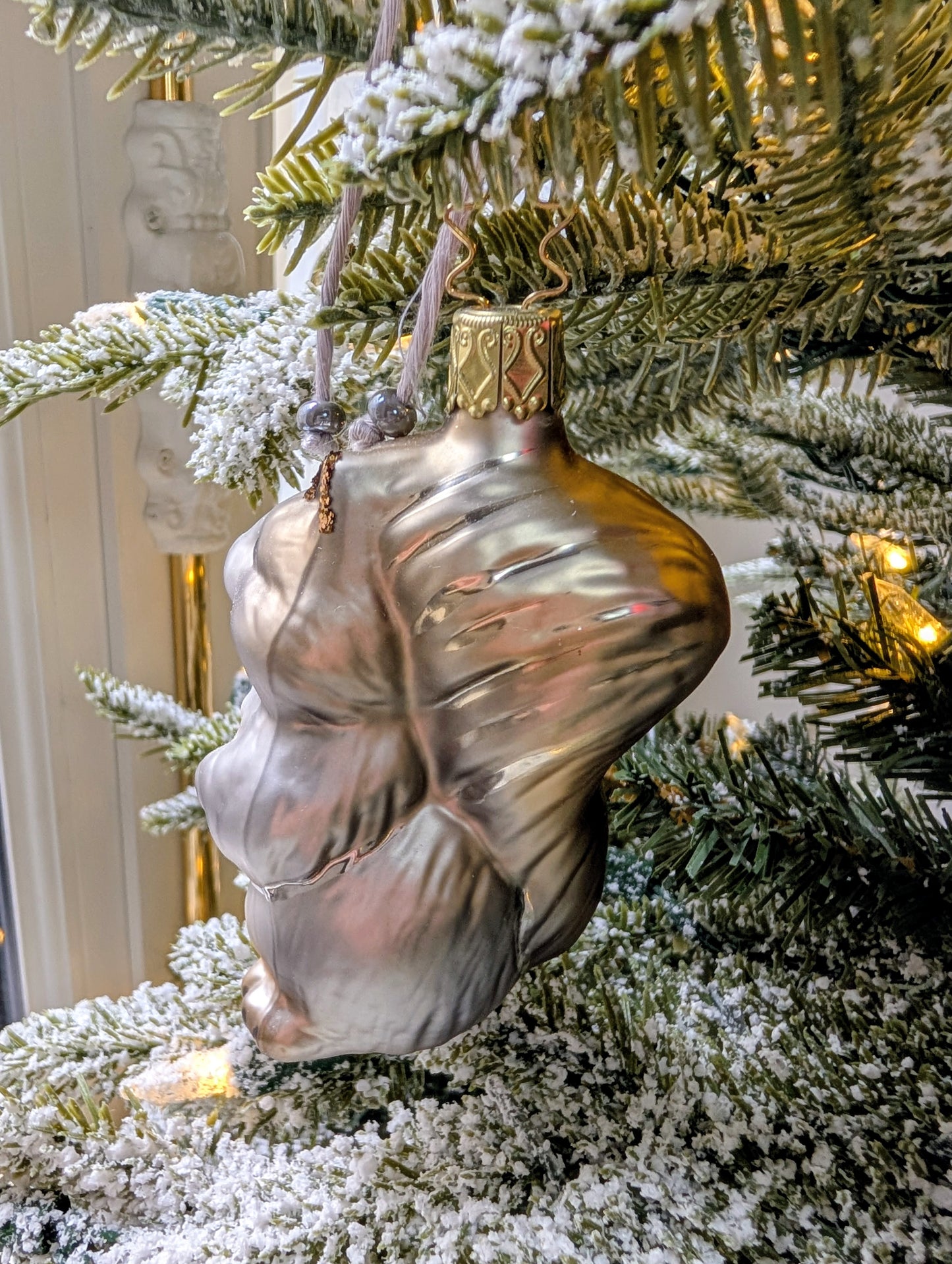 L'écureuil gris mimi 🇩🇪