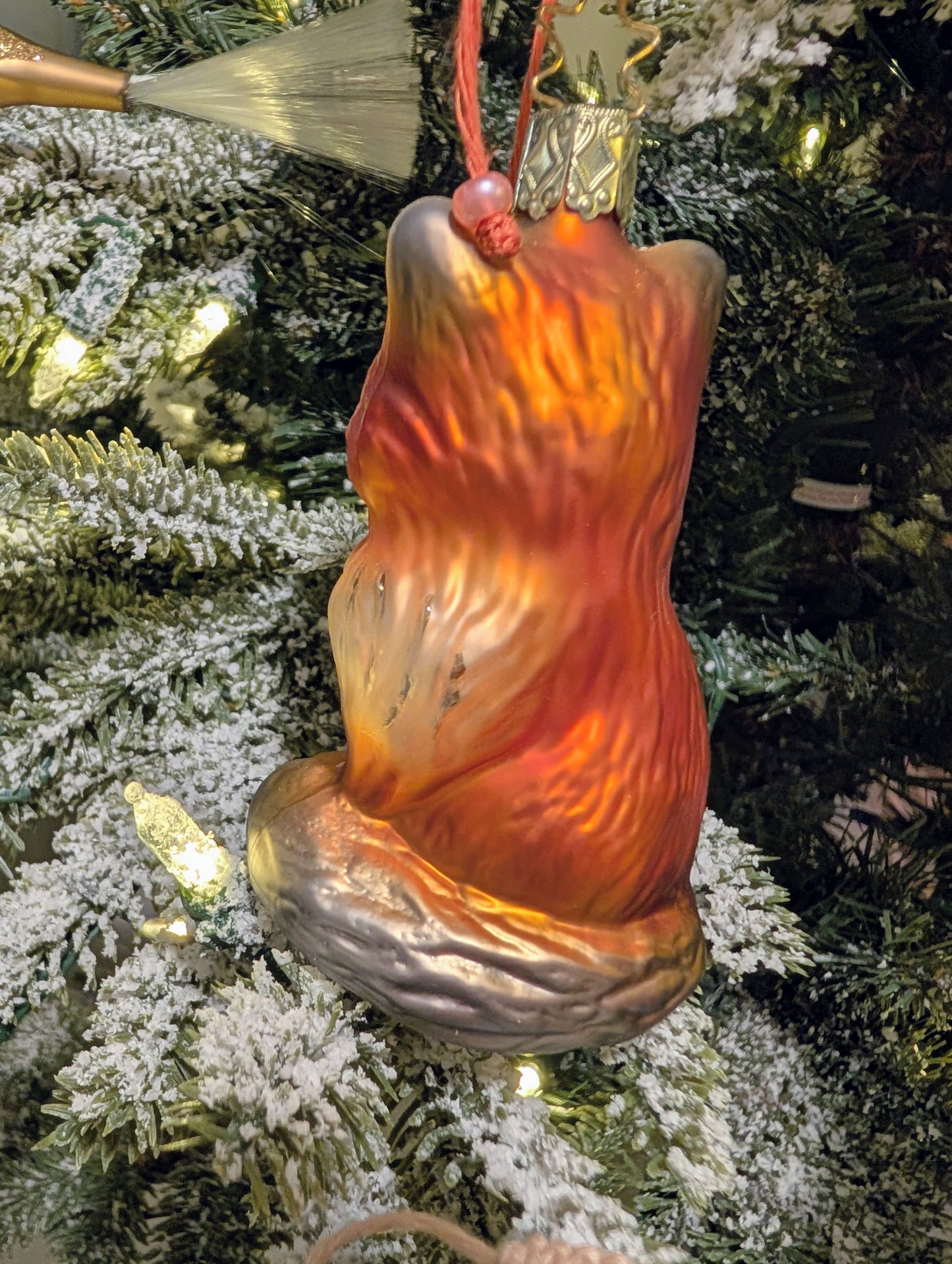 Le renard roux 🇩🇪