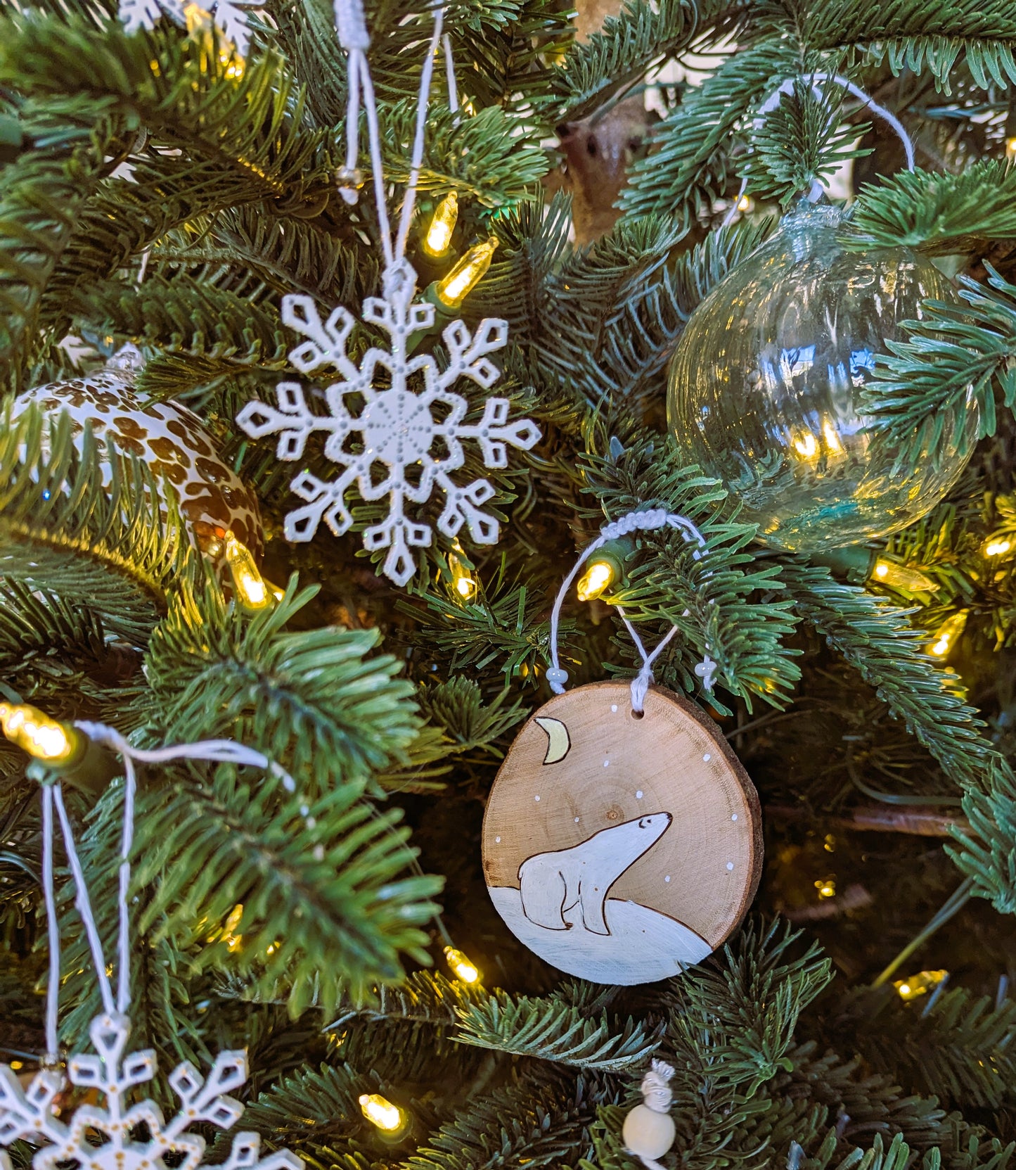 L'ours polaire et la lune 🇫🇷