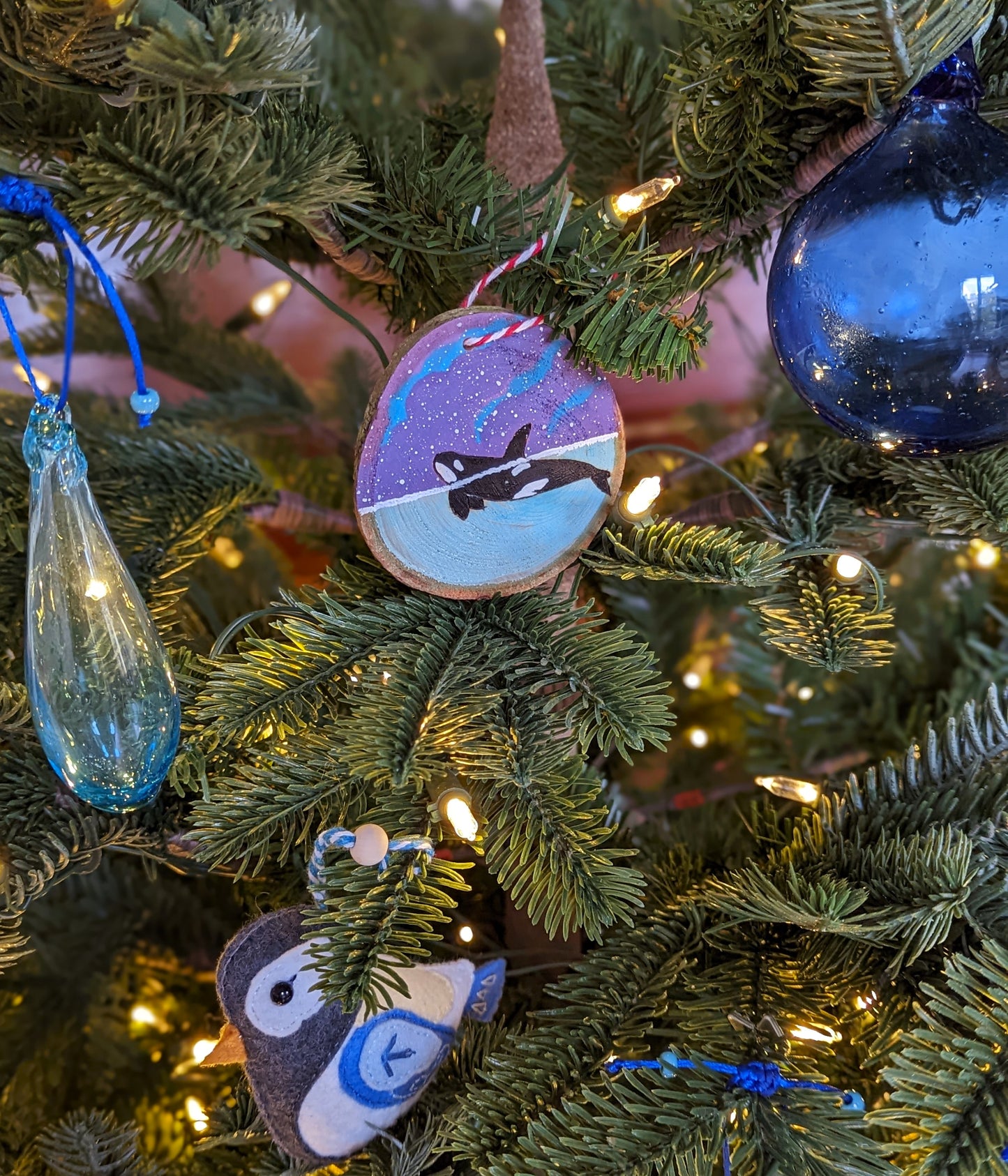 L'orque sous l'aurore boréale 🇫🇷