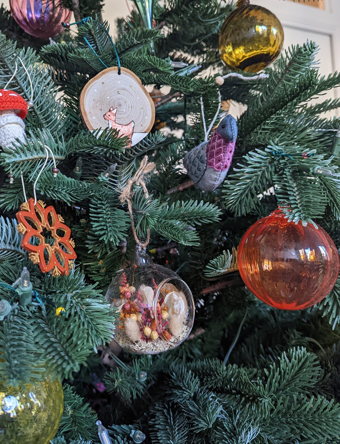 Le pigeon de Paris 🇫🇷