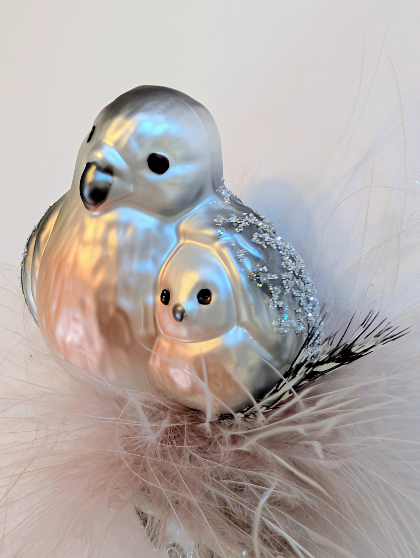 Calin niché 🇩🇪