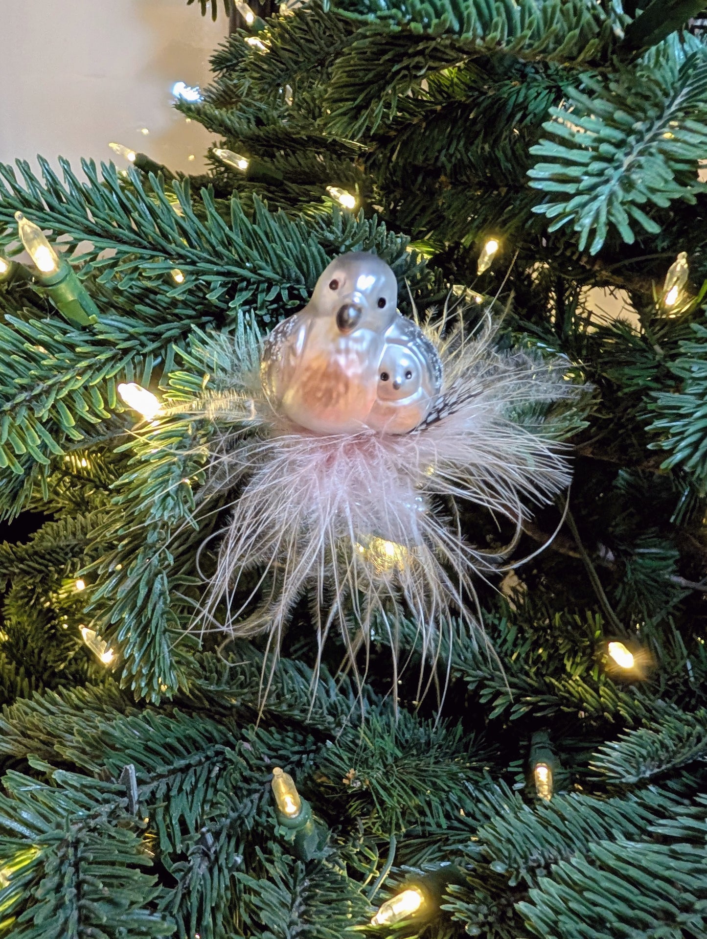 Calin niché 🇩🇪