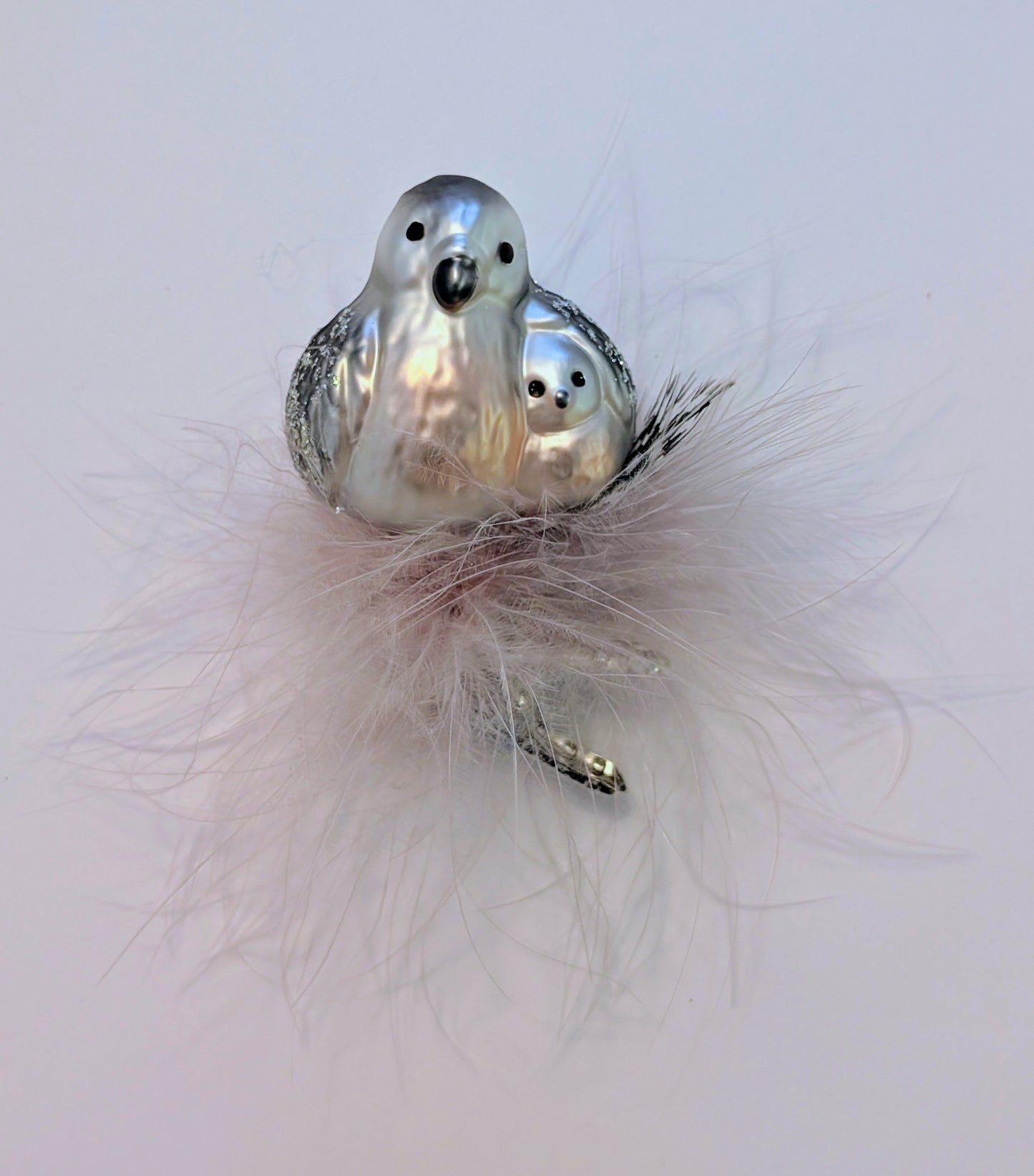 Calin niché 🇩🇪