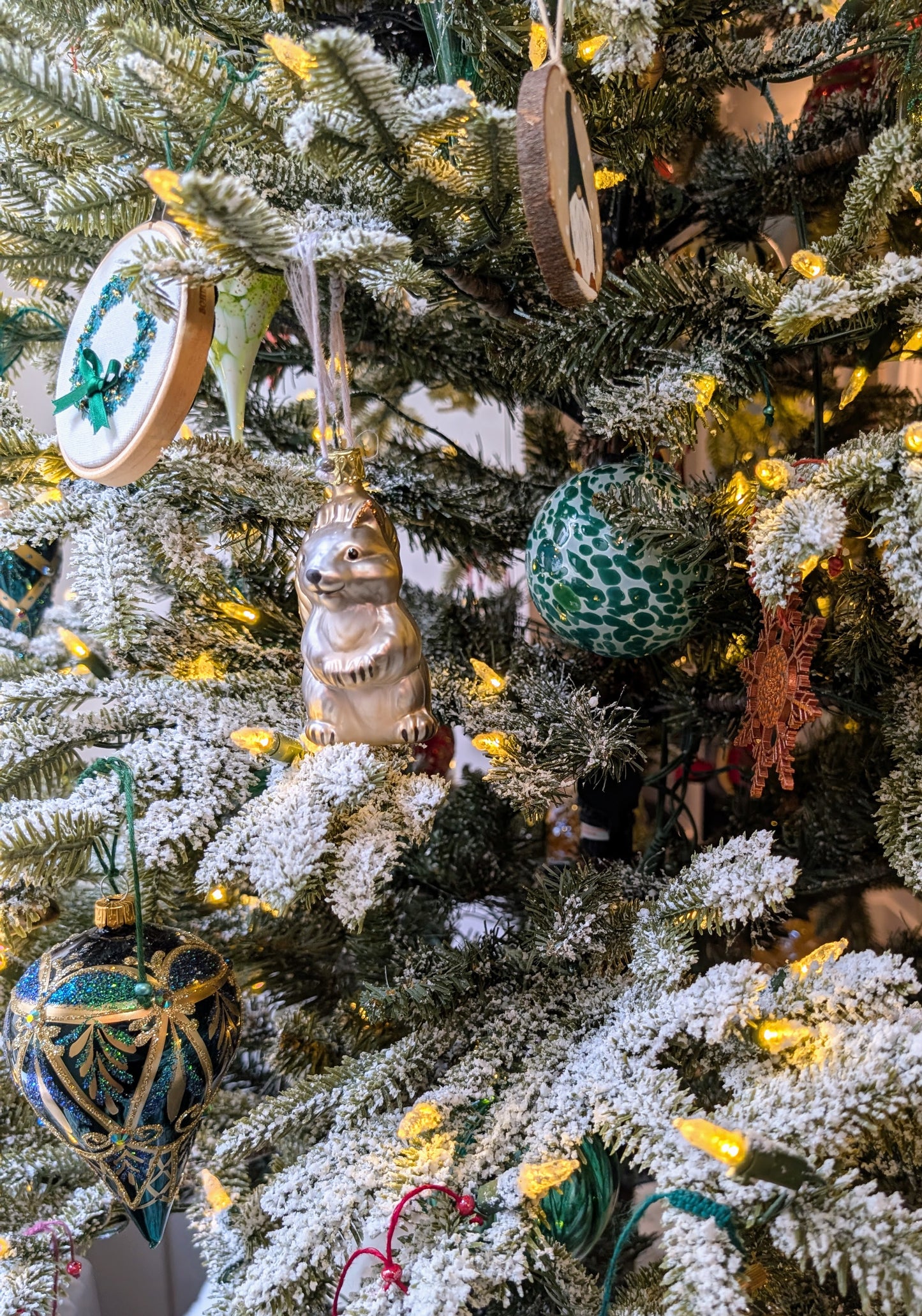 L'écureuil gris mimi 🇩🇪