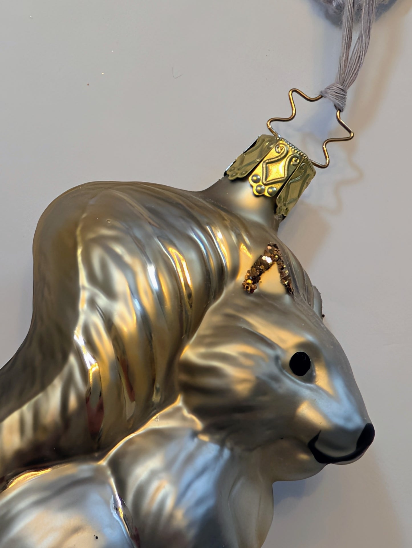 L'écureuil gris mimi 🇩🇪