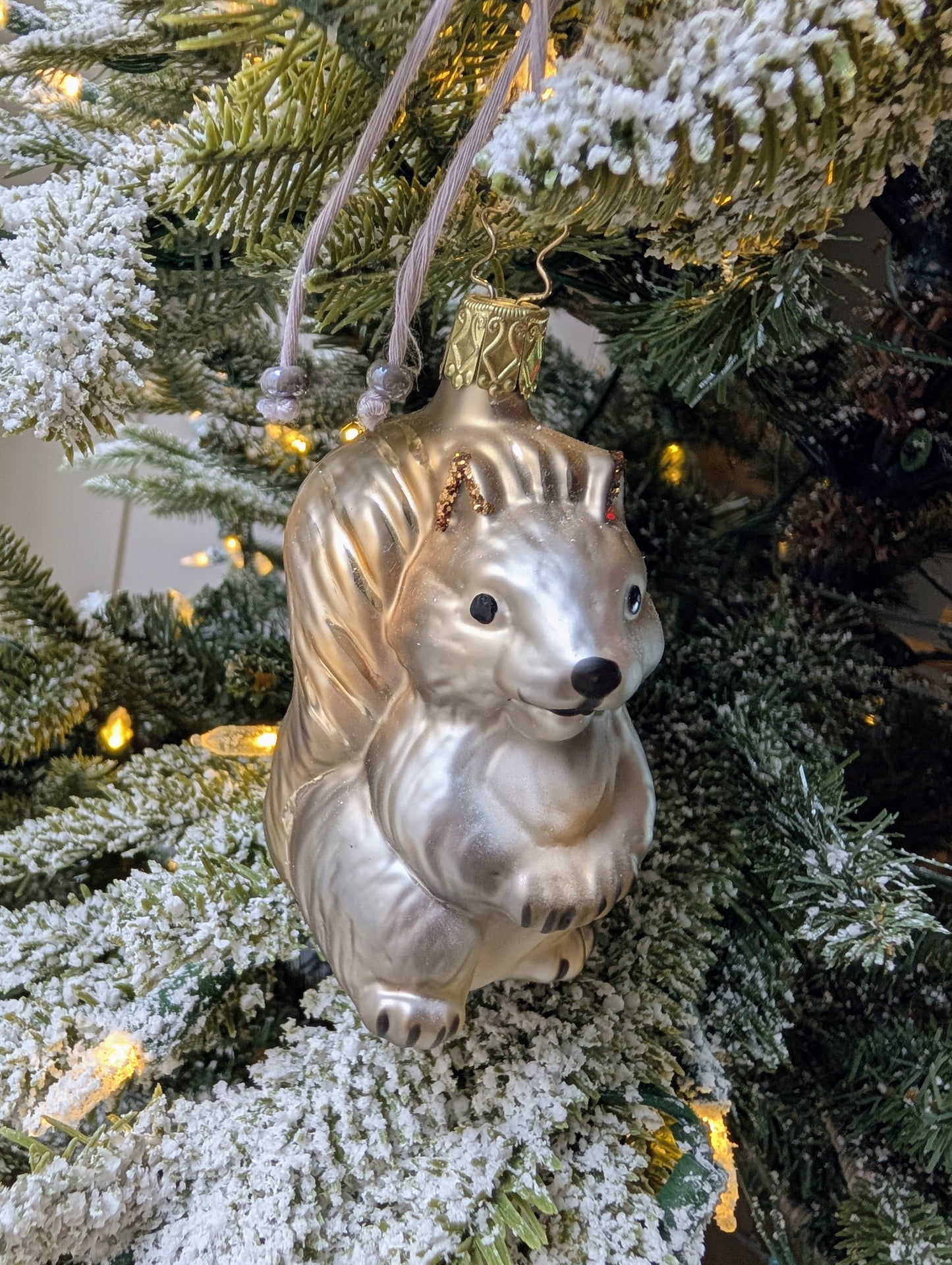 L'écureuil gris mimi 🇩🇪