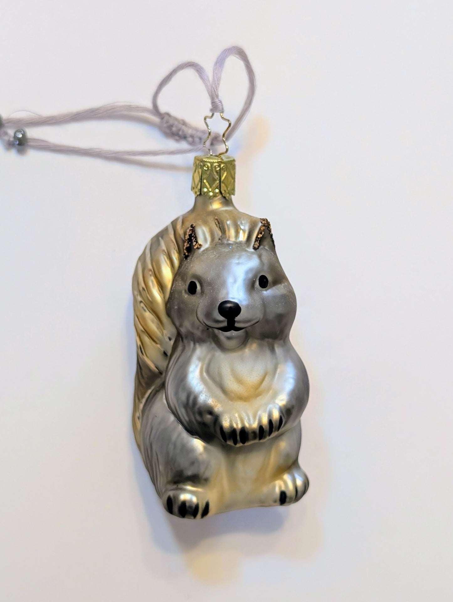 L'écureuil gris mimi 🇩🇪