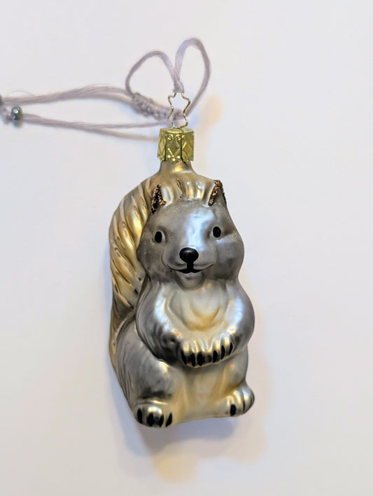 L'écureuil gris mimi 🇩🇪