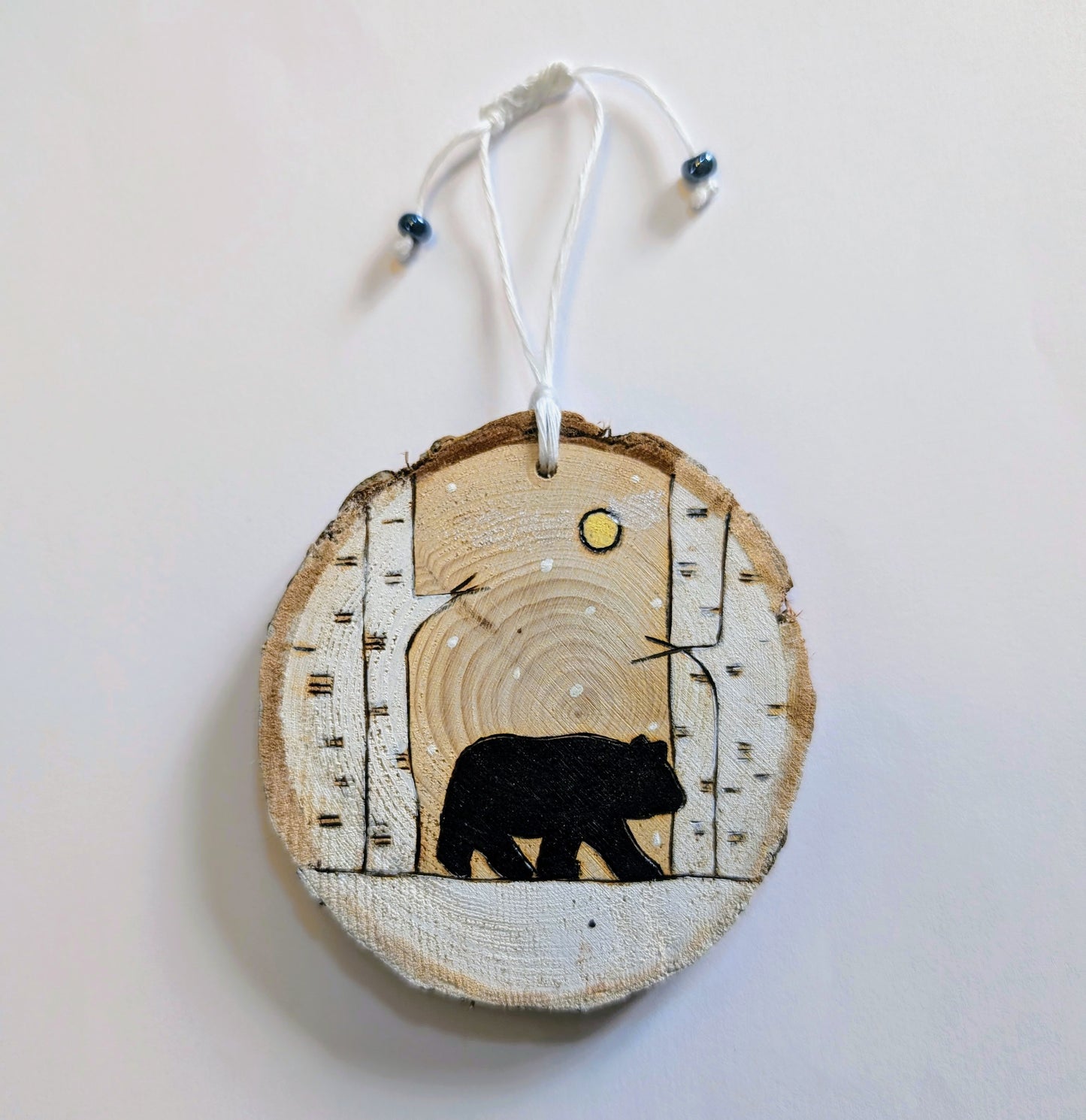 L'ours en balade nocturne 🇫🇷