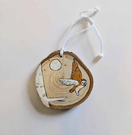 La chouette dans la nuit étoilée 🇫🇷