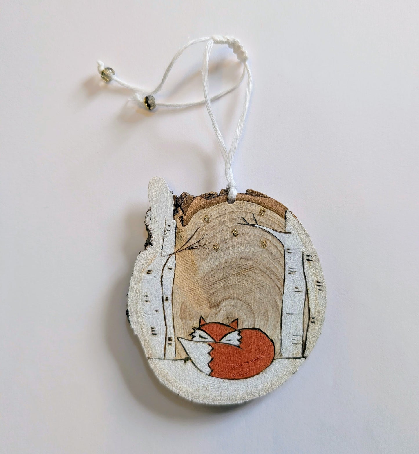 Le renard sieste dans les bouleaux🇫🇷