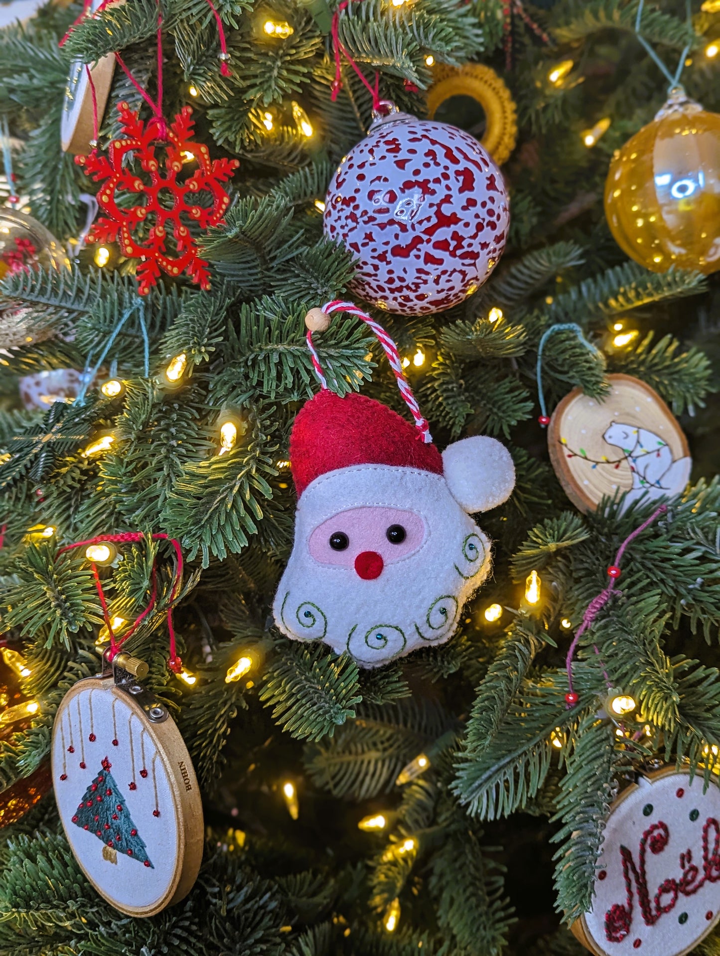 Le portrait du Père Noël 🇫🇷