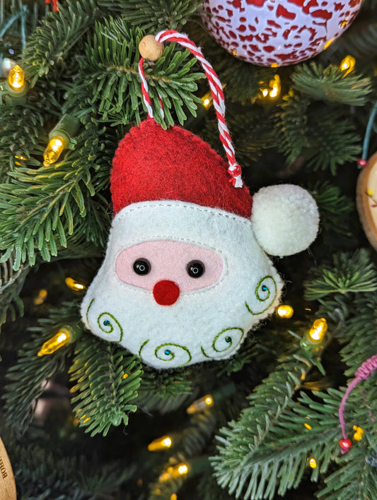 Le portrait du Père Noël 🇫🇷