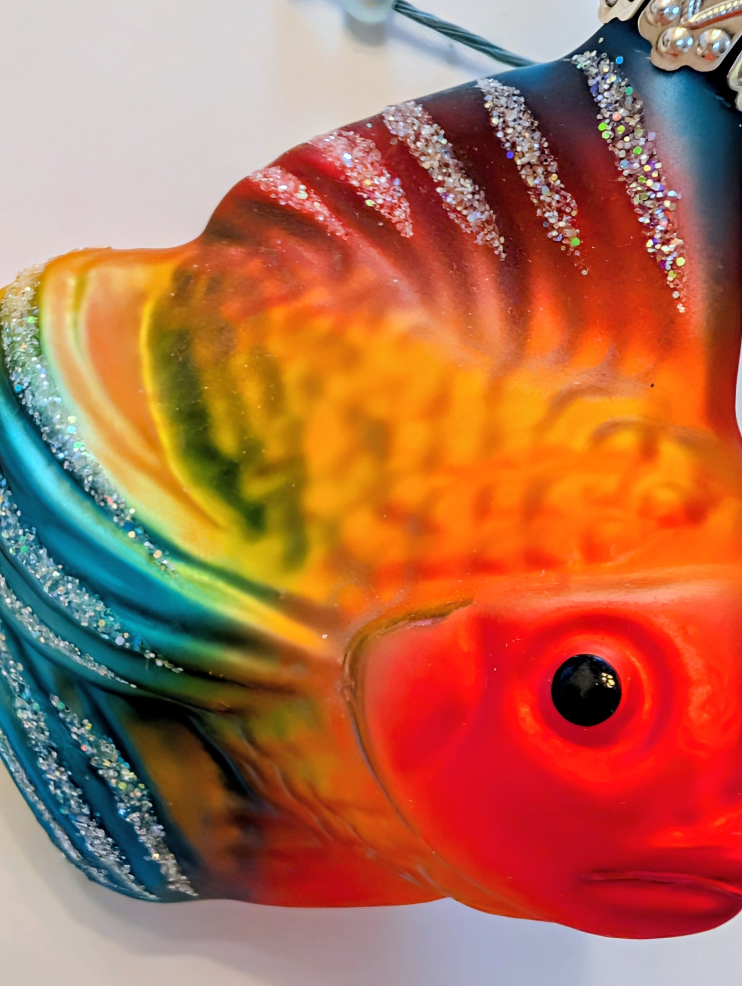 Poisson tropical 🇩🇪