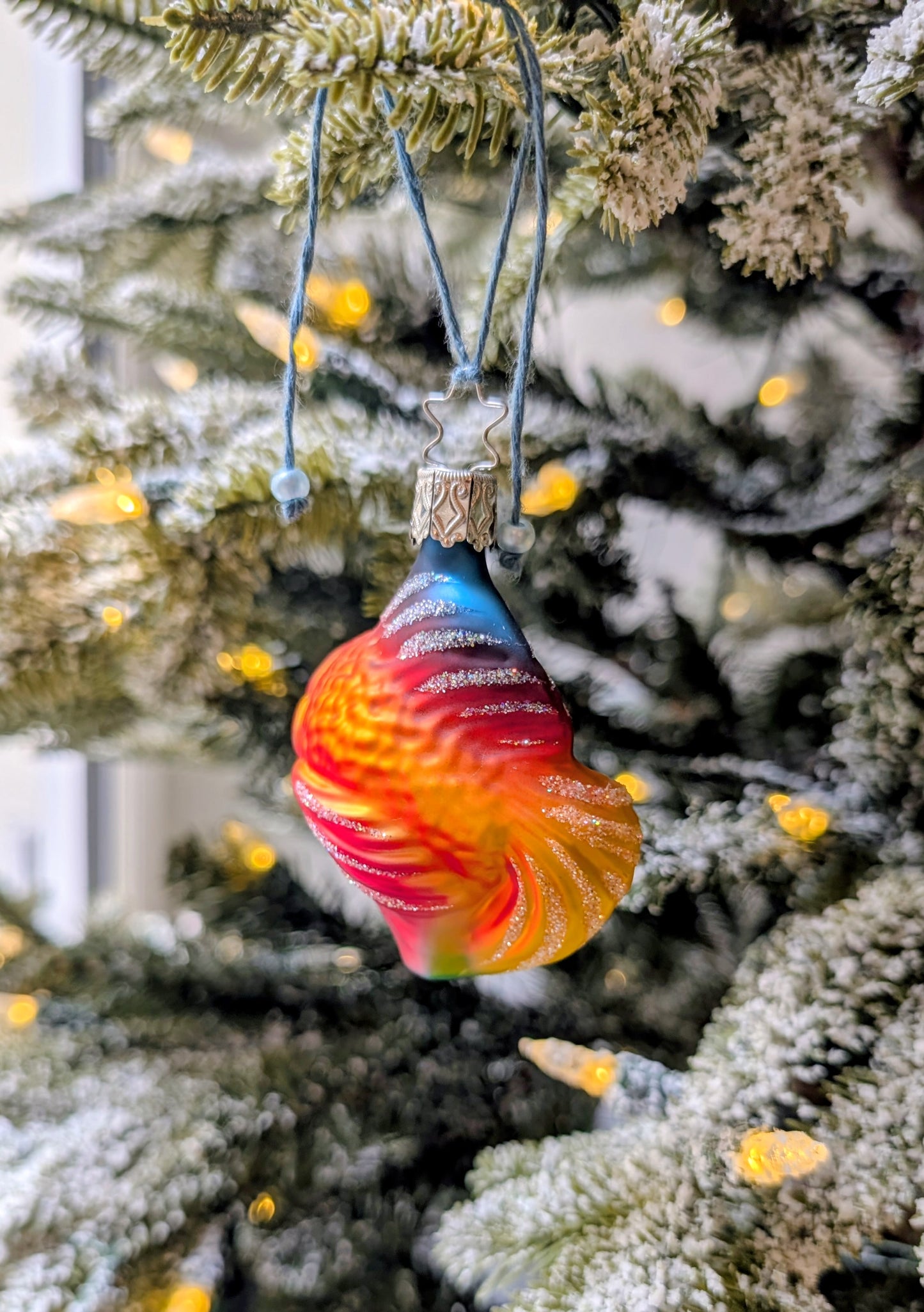 Poisson tropical 🇩🇪