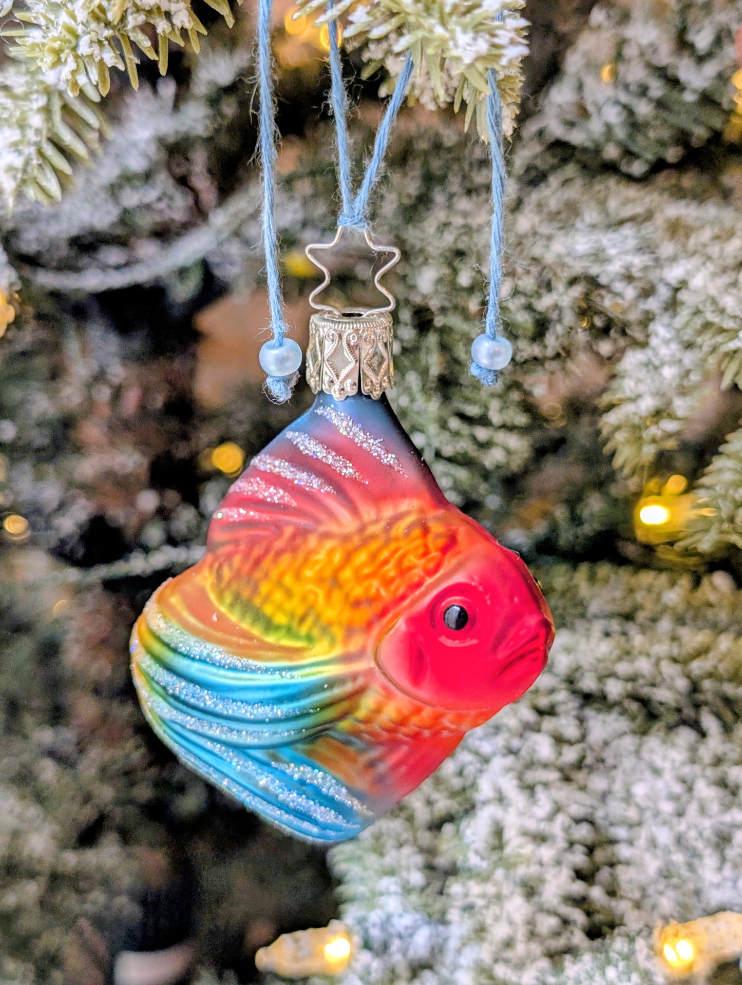 Poisson tropical 🇩🇪