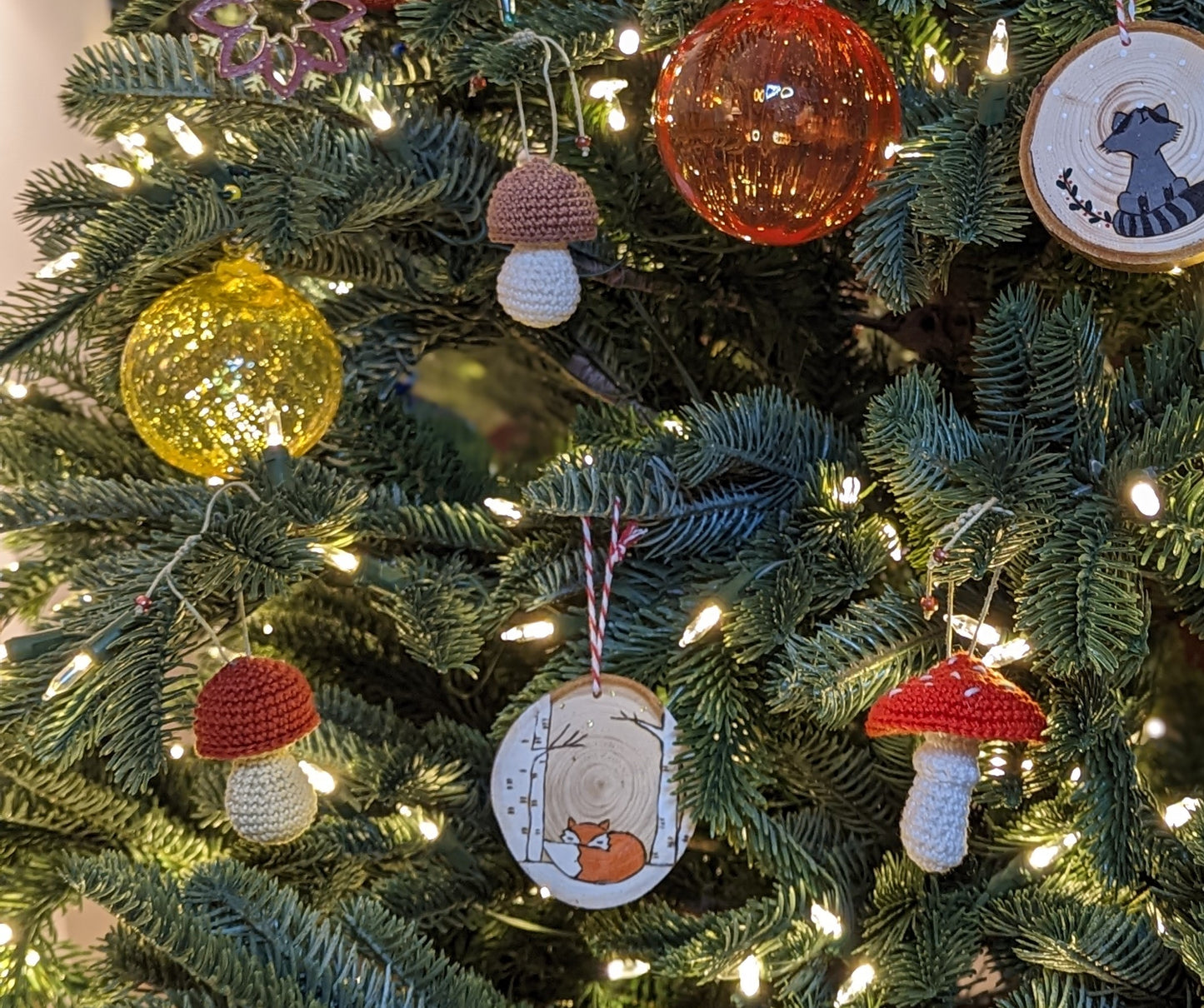 Le renard sieste dans les bouleaux🇫🇷