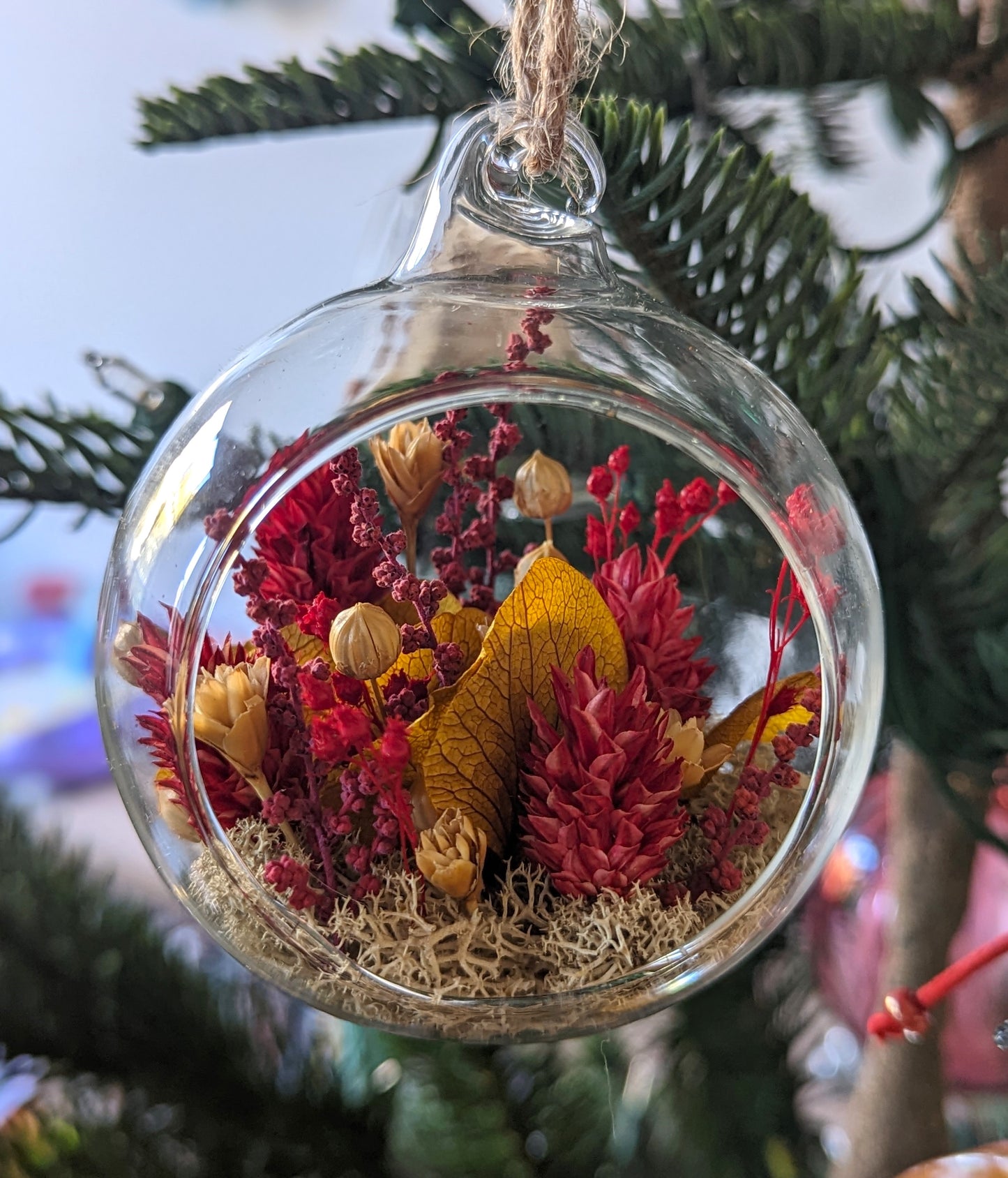 Boule Noël - terrarium de fleurs séchées 🇫🇷