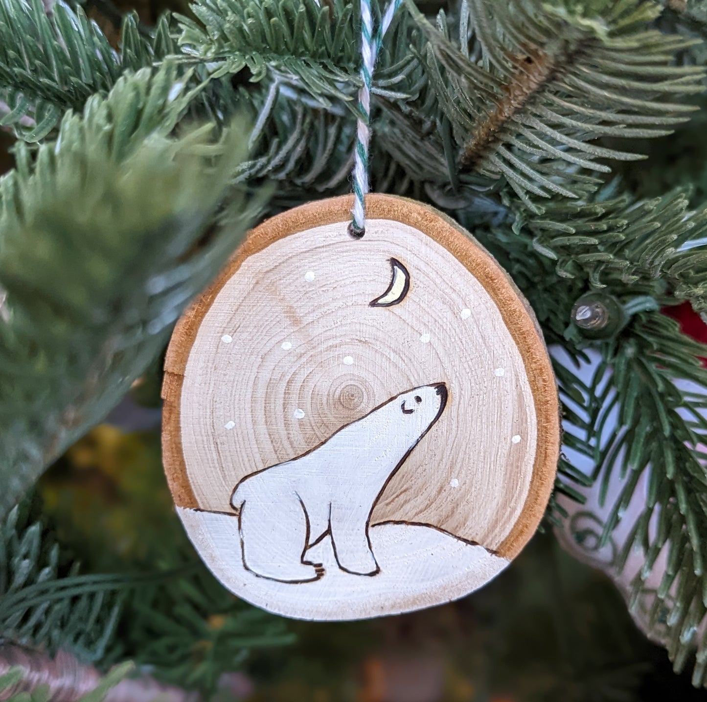 L'ours polaire et la lune 🇫🇷