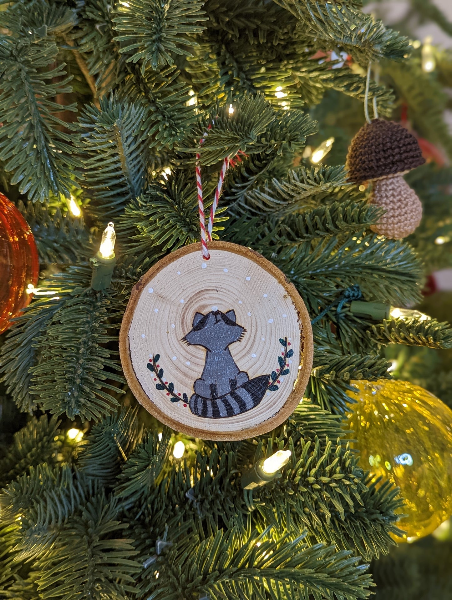 Le raton rêveur 🇫🇷