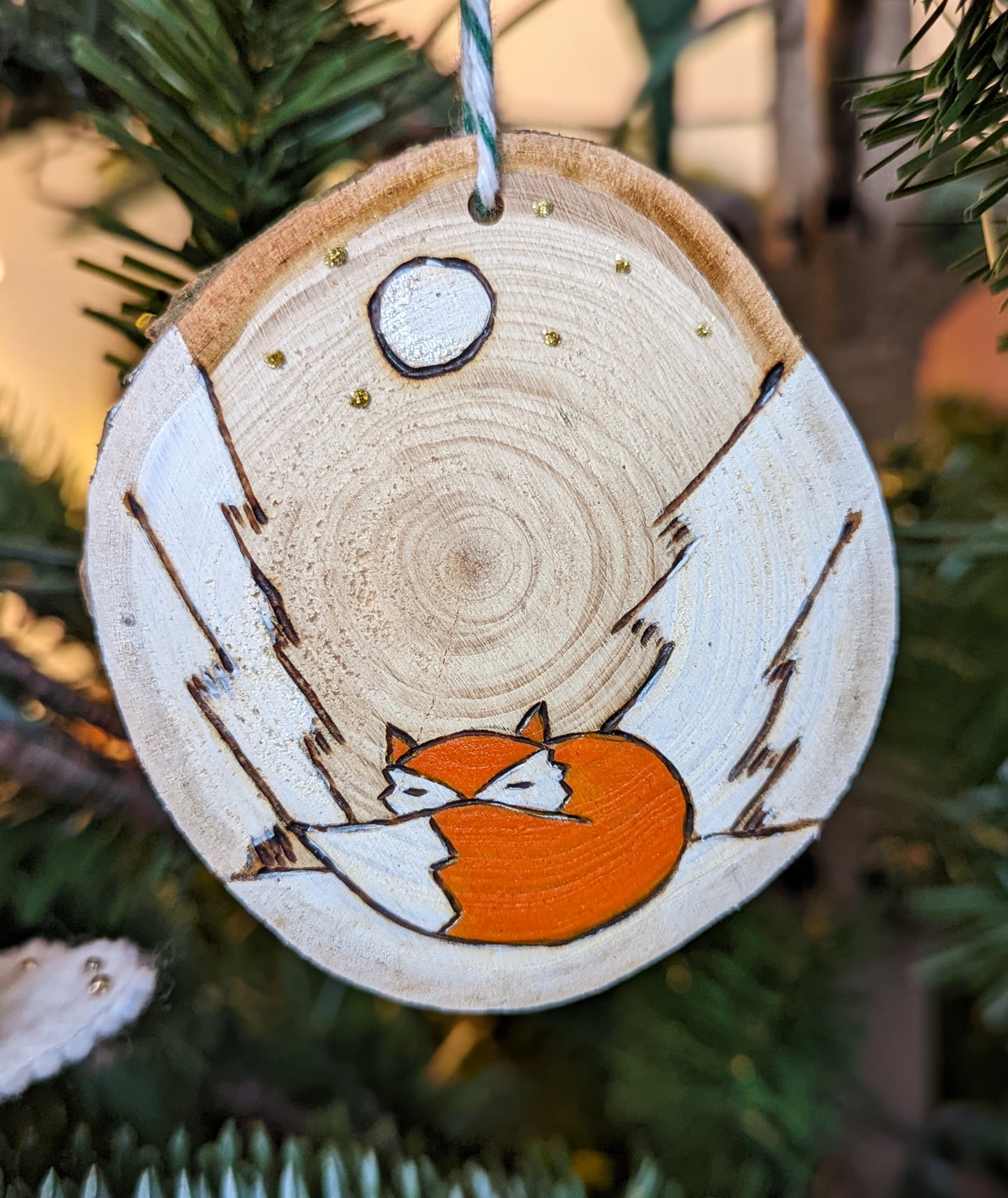 Le renard sieste dans les sapins 🇫🇷