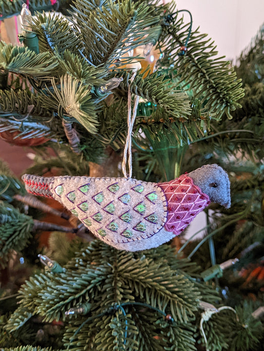 Le pigeon de Paris 🇫🇷