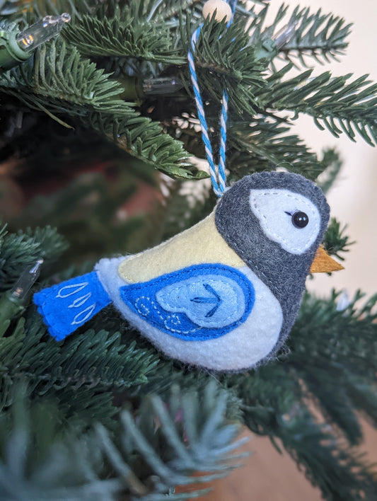 L'oiseau bleu de l'hiver 🇫🇷