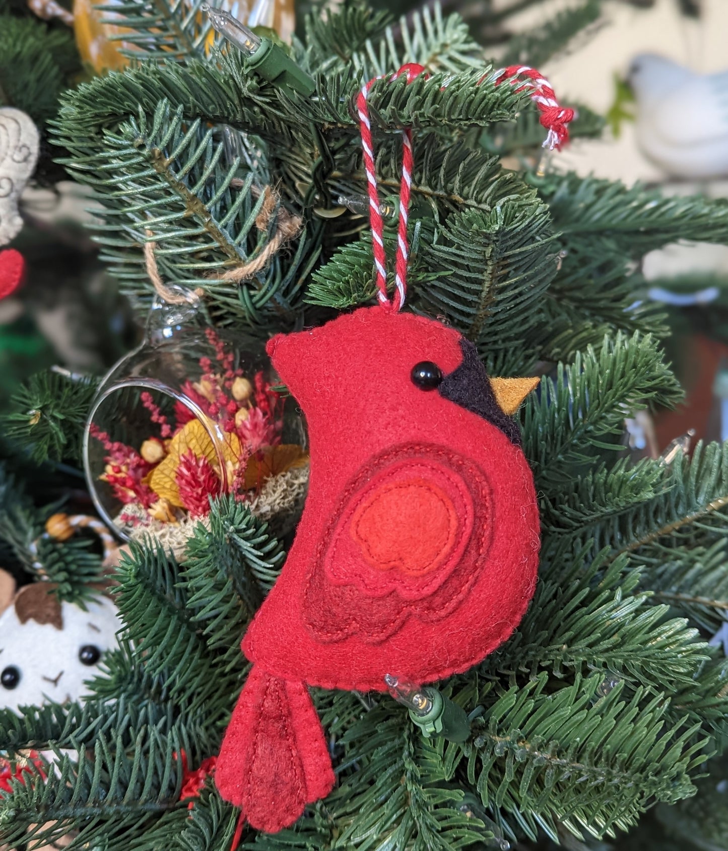 Le cardinal de Noël 🇫🇷